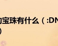 dnf领主加智力的装备_dnf加智力的宠物装备