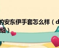dnf圣物做什么_dnf圣物装备有什么用