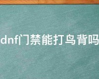 dnf门禁可以打暴走么_dnf门禁可以打鸟背么