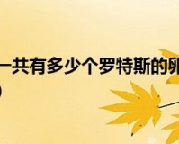 dnf孵化风技巧_孵化机孵化小鸡教程